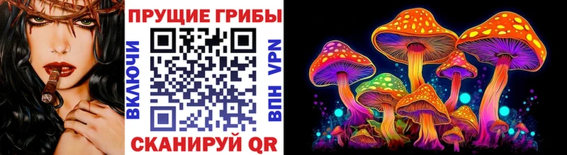 где можно купить   Ростов  Галлюциногенные грибы Magic Shrooms 